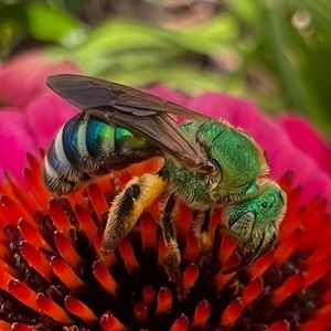 Original Photo Print Art